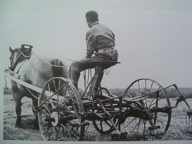 Het Belgische trekpaard in de Zeeuwse landbouw., Boeken, Geschiedenis | Vaderland, Zo goed als nieuw, Ophalen of Verzenden