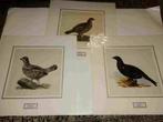 3 kleurenlitho's Magnus von wright, Antiek en Kunst, Kunst | Litho's en Zeefdrukken, Ophalen