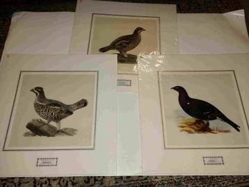 3 kleurenlitho's Magnus von wright beschikbaar voor biedingen