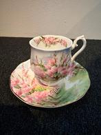 Royal Albert Blossom Time Kop en Schotel, Ophalen of Verzenden, Zo goed als nieuw, Overige stijlen, Kop(pen) en/of Schotel(s)
