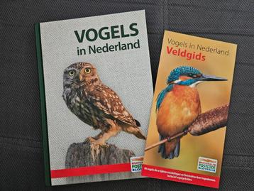 Vogels in Nederland beschikbaar voor biedingen