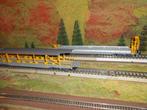 HAG 370 en 375 Zwitserland BLS Auto transport wagons, Hobby en Vrije tijd, Modeltreinen | H0, Overige merken, Gelijkstroom, Ophalen of Verzenden