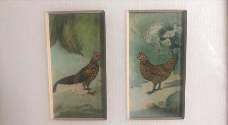Kip en haan kleine lithografie, Antiek en Kunst, Kunst | Litho's en Zeefdrukken, Ophalen of Verzenden
