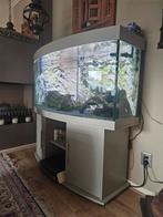 Juwel aquarium, Dieren en Toebehoren, Vissen | Aquaria en Toebehoren, Ophalen, Gebruikt, Leeg aquarium