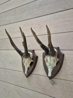 2 Mooie Ree Geweien samen € 19 Mancave Jacht Landelijk c31, Ophalen of Verzenden, Hert, Gewei of Kop
