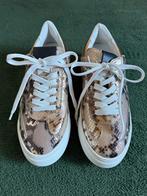 AMA brand deluxe sneakers wit brons nieuw maat 38, Overige kleuren, Ama Brand, Nieuw, Ophalen of Verzenden