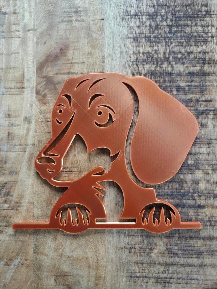 Unieke 3d Teckel hond - muurkunst - brons, Antiek en Kunst, Kunst | Beelden en Houtsnijwerken, Ophalen of Verzenden