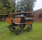 Menwagen Menkar Marathon Recreatie wagen, Dieren en Toebehoren, Rijtuigen en Koetsen, Zo goed als nieuw