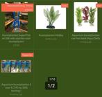 Actie: Aquarium of decoratie kunstplanten, ., Plant(en), Steen of Hout, Nieuw, Ophalen of Verzenden