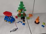 Duplo bos vistochtje, Gebruikt, Ophalen of Verzenden, Duplo, Duplo