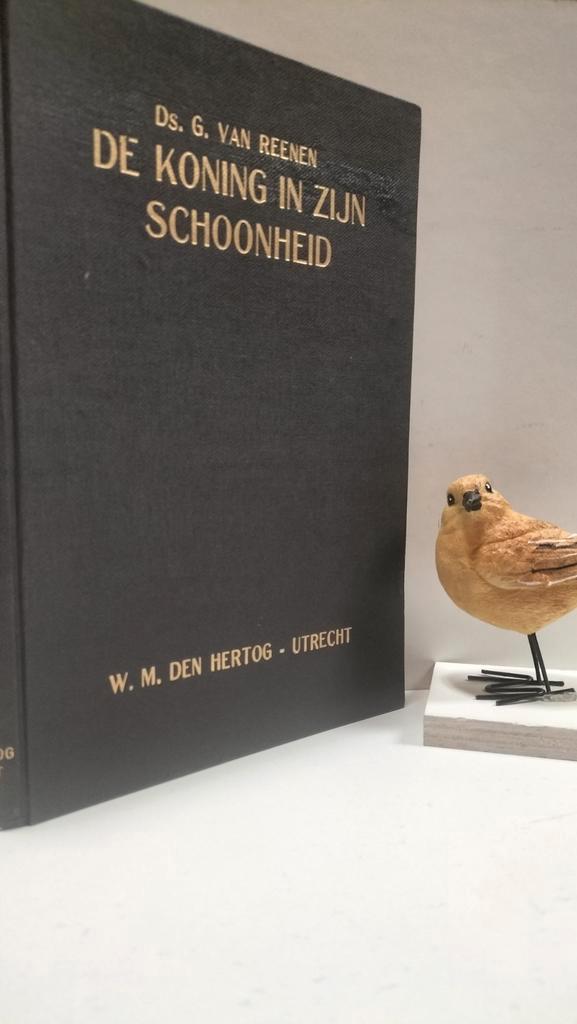 Reenen, Ds. G. van ; De Koning in Zijn schoonheid, Boeken, Godsdienst en Theologie, Gelezen, Christendom | Protestants, Ophalen of Verzenden