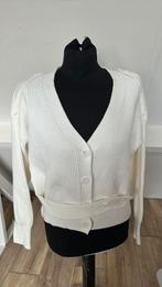 Mango lietf vestje nieuw m, Ophalen of Verzenden, Zo goed als nieuw, Beige