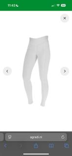 Paardrijkleding wedstrijd maat S/36, Ophalen of Verzenden, Dames