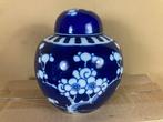 Chinees doppotje / gemberpotje met prunus decor, Ophalen of Verzenden