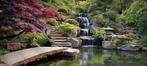 Tuindoek - Waterval in Japanse tuin. Mega maat 4 meter!, Ophalen of Verzenden, Nieuw