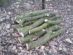 Gezocht: Boomstam(metjes) (max 3 weken oud), Tuin en Terras, Haardhout, Minder dan 3 m³, Ophalen, Stammen