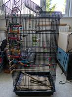 Parkieten kooi, Dieren en Toebehoren, Ophalen of Verzenden, Zo goed als nieuw, Metaal, Vogelkooi