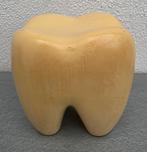 Decoratieve Tand - Leuk voor de Tandarts!, Ophalen of Verzenden
