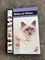 J.P.H. Steijns - Katten en kittens, J.P.H. Steijns, Nieuw, Ophalen of Verzenden, Paarden of Pony's