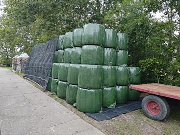Midibalen voordroog 1e snee beschikbaar voor biedingen
