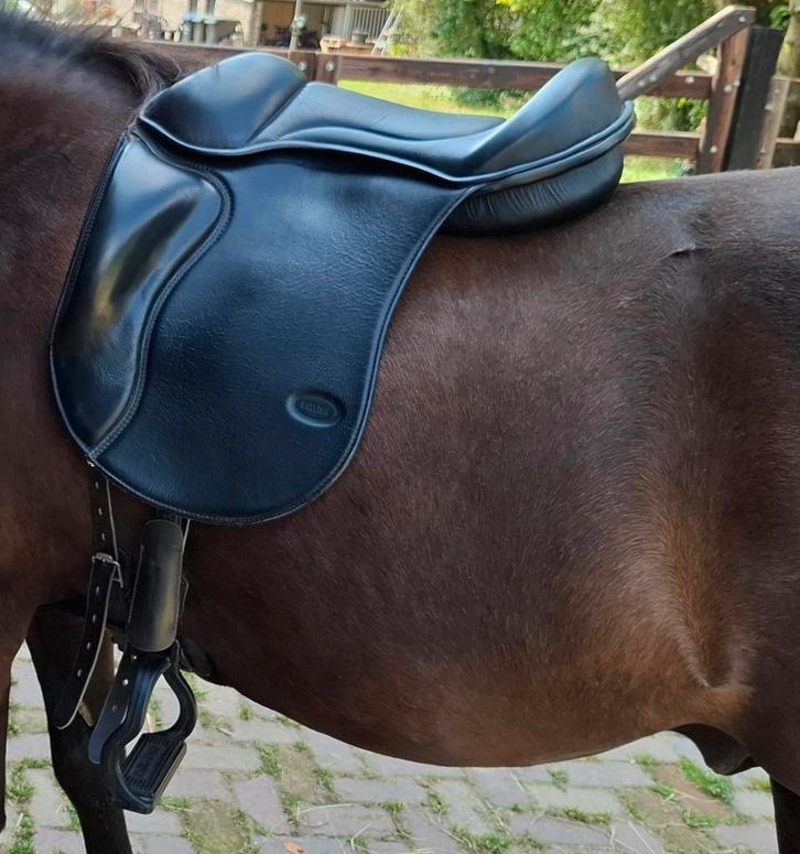 Eques semi-boomloos zadel, Dieren en Toebehoren, Paarden en Pony's | Zadels, Zo goed als nieuw, Ophalen