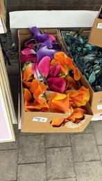 Violen volle doos xl bloem, Ophalen of Verzenden, Gebruikt