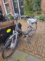 Defecte Sparta E-bike (motor kapot) Elektrische fiets, Fietsen en Brommers, 51 tot 55 cm, Ophalen, Gebruikt, Sparta