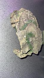 rots terrarium, Dieren en Toebehoren, Ophalen of Verzenden, Nieuw