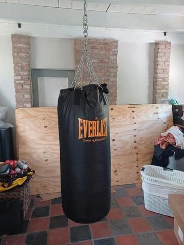 Nieuw Everlast boxzak  beschikbaar voor biedingen