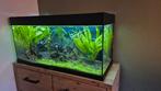 JUWEL aquarium Rio 180 liter inclusief led-lamp zwart, Dieren en Toebehoren, Ophalen, Zo goed als nieuw, Leeg aquarium