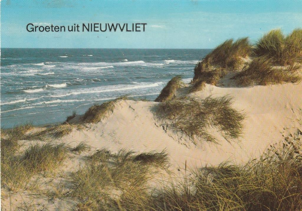 NIEUWVLIET Duin Strand Zee Groeten, Verzenden, 1980 tot heden, Gelopen, Zeeland