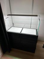 Compleet Aquascape aquarium met alle toebehoren etc, Dieren en Toebehoren, Vissen | Aquaria en Toebehoren, Ophalen, Zo goed als nieuw