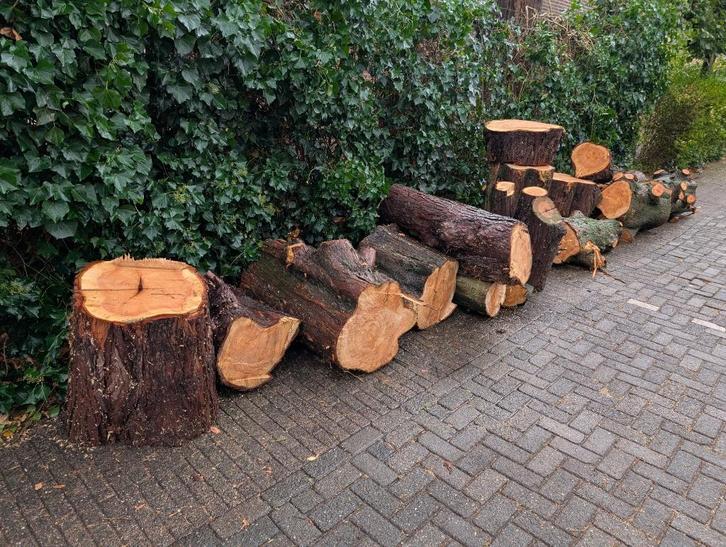 Hout, Doe-het-zelf en Verbouw, Hout en Planken, Overige typen, Overige houtsoorten, Minder dan 200 cm, 50 mm of meer, Ophalen