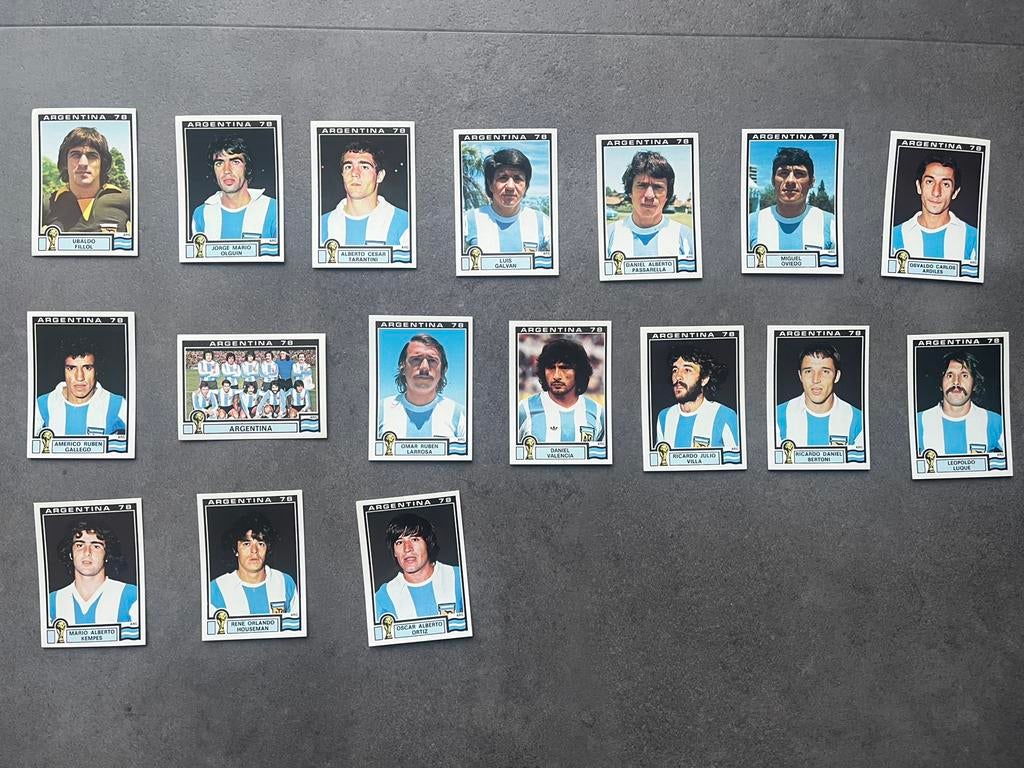 Panini World Cup Story Argentinië 1978 Compleet Team Set, Verzenden, Zo goed als nieuw, Meerdere stickers