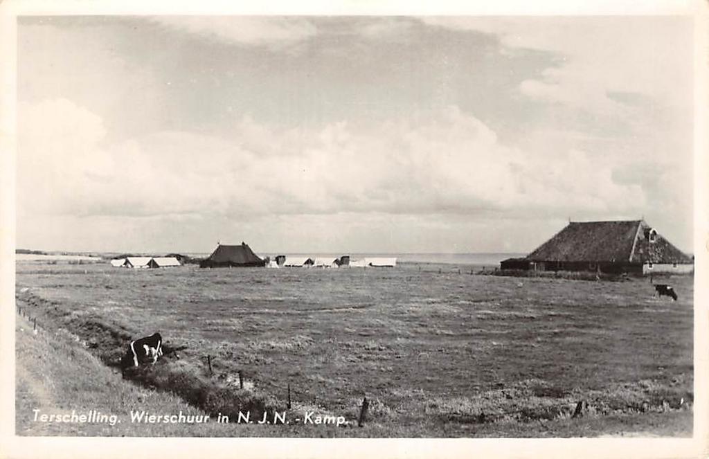 Terschelling - Wierschuur N.J.N. Kamp Koe Oosterend, Verzamelen, Ophalen of Verzenden, 1940 tot 1960, Gelopen, Waddeneilanden