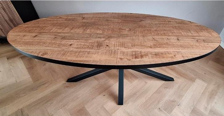 Uitschuifbare eettafel ovaal, Huis en Inrichting, Tafels | Eettafels, Zo goed als nieuw, 200 cm of meer, Ovaal, Metaal, Ophalen