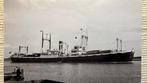 KNSM  ORESTES - bussen aan dek jaren 50, Ophalen of Verzenden, Zo goed als nieuw, Motorboot, Kaart, Foto of Prent