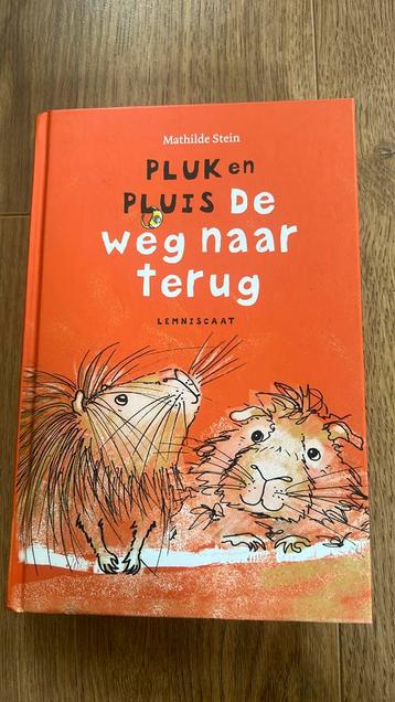 Mathilde Stein - Pluk en Pluis. De weg naar terug beschikbaar voor biedingen