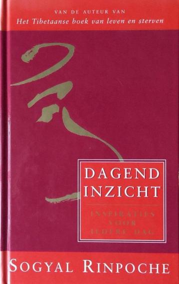DAGEND INZICHT. Inspiratie voor ieder dag beschikbaar voor biedingen