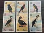Vogel, Belize 1978, Postzegels en Munten, Ophalen of Verzenden, Postfris, Dier of Natuur