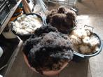 Schapenwol Wit, bruin en zwart van Ouessant schapen, Ophalen, Zo goed als nieuw, Spinwol