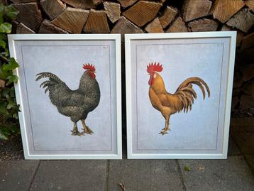 Geprinte schilderijen kippen hanen IKEA  beschikbaar voor biedingen