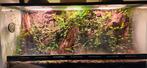 Terrarium  L100xH50xB40, Hagedis, Met terrarium, 0 tot 2 jaar