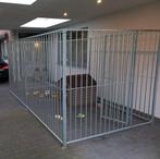 Hondenren (verzinkt/gegalvaniseerd) 4 m bij 2 m, Ophalen, Zo goed als nieuw, 110 cm of meer, 100 cm of meer