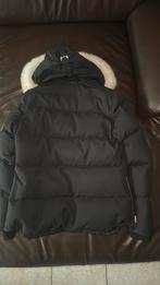 Moose Knuckles origineel winterjas – zwart ( vrouwenmaat L), Kleding | Heren, Bodywarmers, Ophalen of Verzenden, Zo goed als nieuw