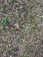 Sier grind wit grijs gemixt gratis, Tuin en Terras, Grind, Keien en Split, Ophalen, Gebruikt, Wit