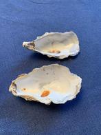 Gratis zoete oester schelpen, Ophalen, Nieuw