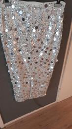 Zilveren Paletten Rok - Maat 40, Maat 38/40 (M), Zgn, Ophalen of Verzenden, Zo goed als nieuw