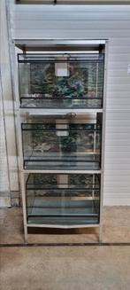 3 nette terrariums in stevige stelling, Dieren en Toebehoren, Ophalen, Zo goed als nieuw