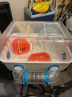 Hamsterkooi met spullen, Dieren en Toebehoren, Gebruikt, Overige typen, Minder dan 75 cm, Hamster